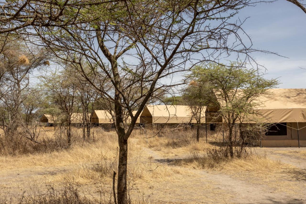Africa Safari South Serengeti Ndutu Ngorongoro Sinoni Buitenkant foto