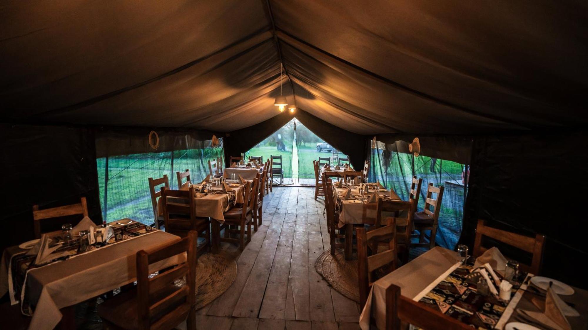 Africa Safari South Serengeti Ndutu Ngorongoro Sinoni Buitenkant foto