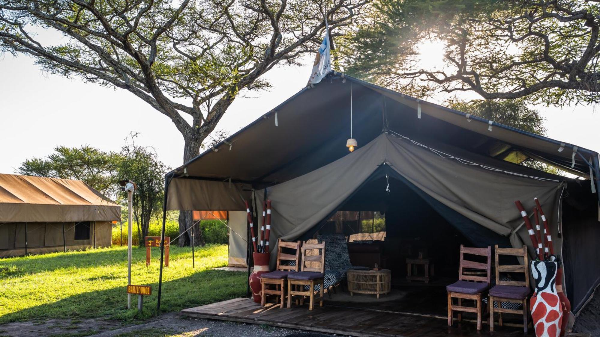 Africa Safari South Serengeti Ndutu Ngorongoro Sinoni Buitenkant foto