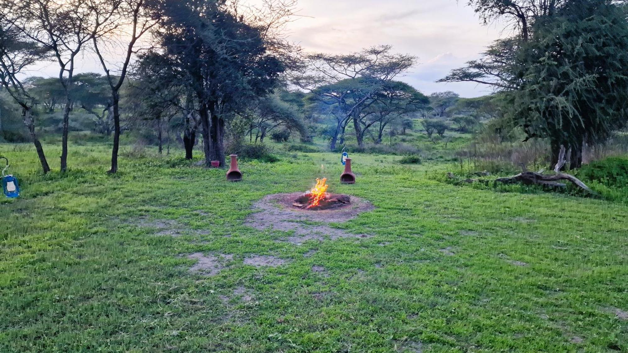 Africa Safari South Serengeti Ndutu Ngorongoro Sinoni Buitenkant foto