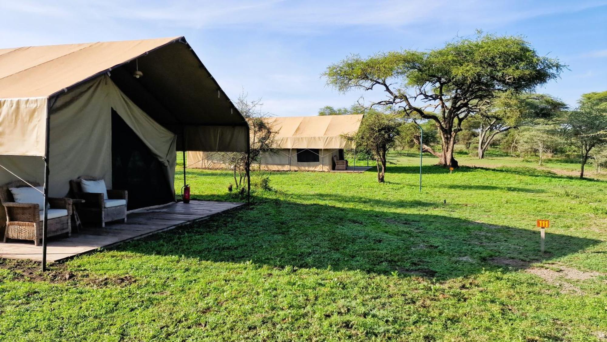 Africa Safari South Serengeti Ndutu Ngorongoro Sinoni Buitenkant foto