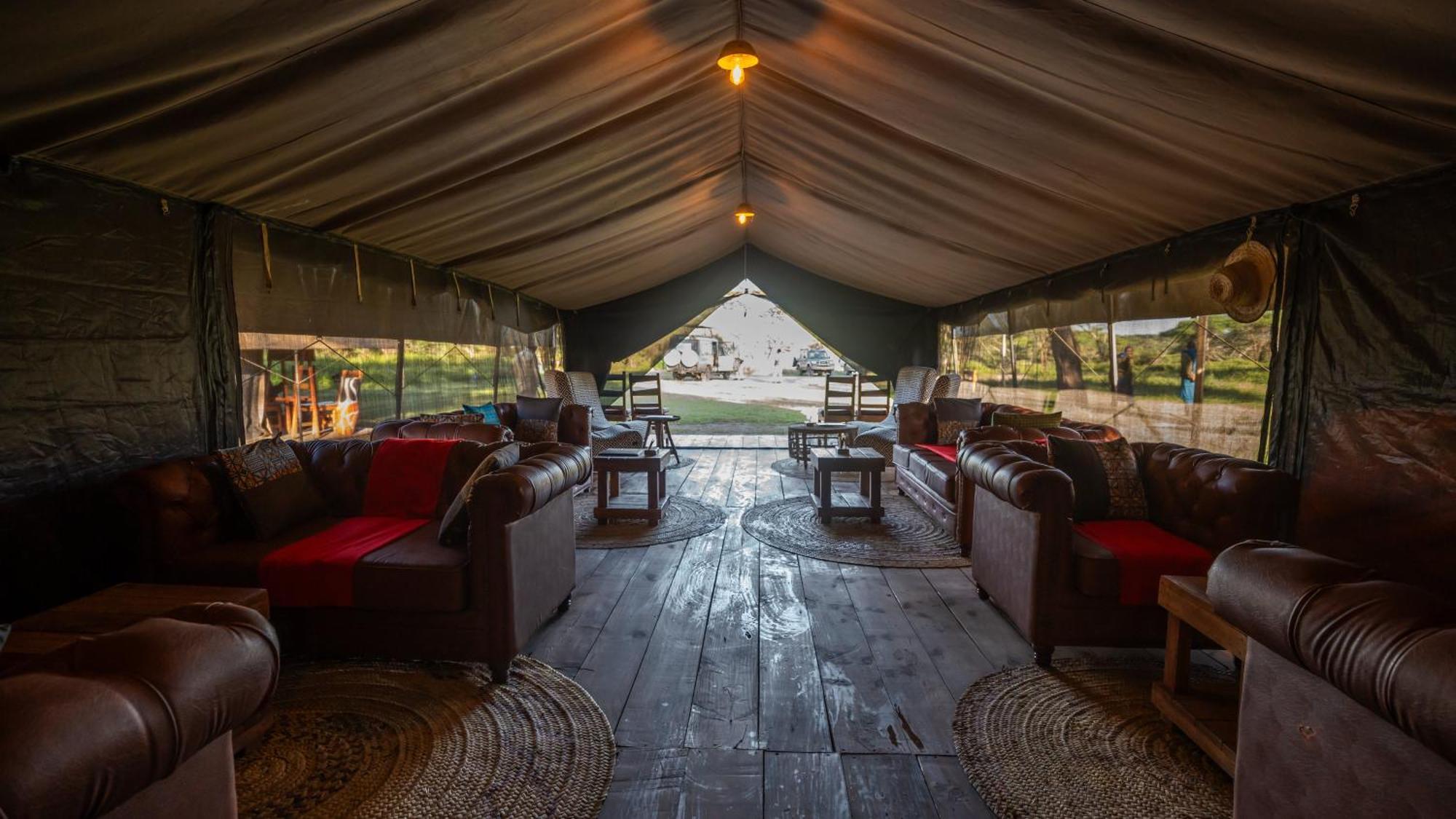Africa Safari South Serengeti Ndutu Ngorongoro Sinoni Buitenkant foto