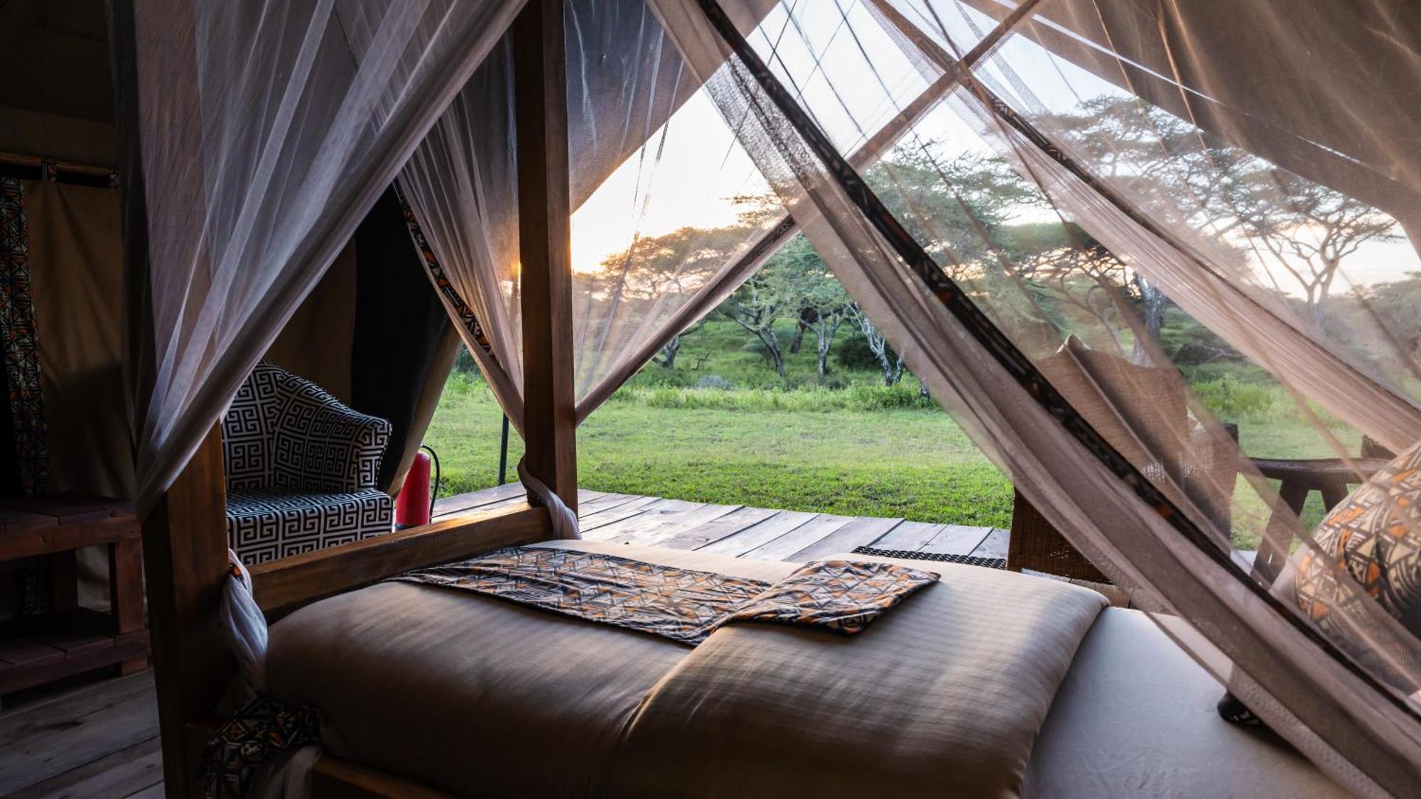 Africa Safari South Serengeti Ndutu Ngorongoro Sinoni Buitenkant foto