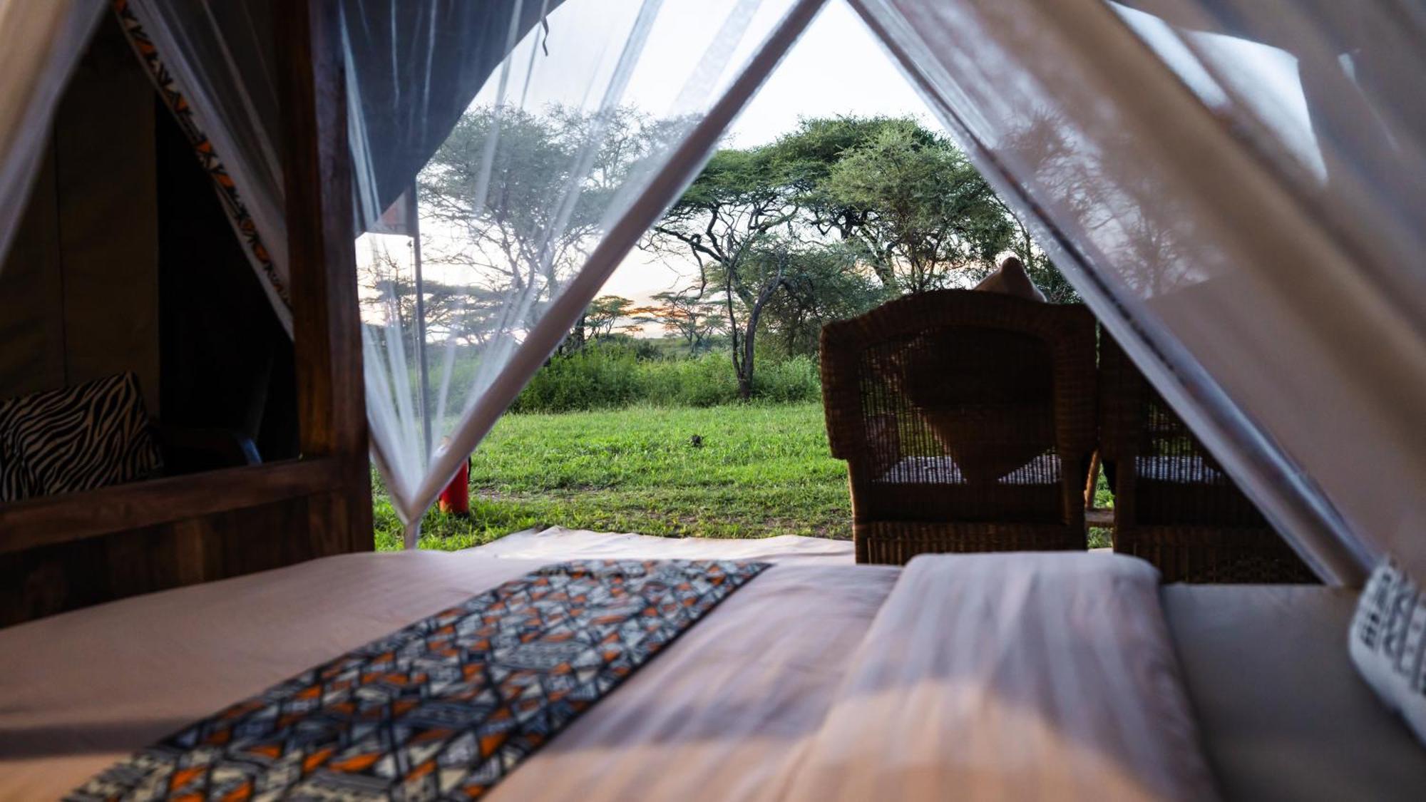 Africa Safari South Serengeti Ndutu Ngorongoro Sinoni Buitenkant foto