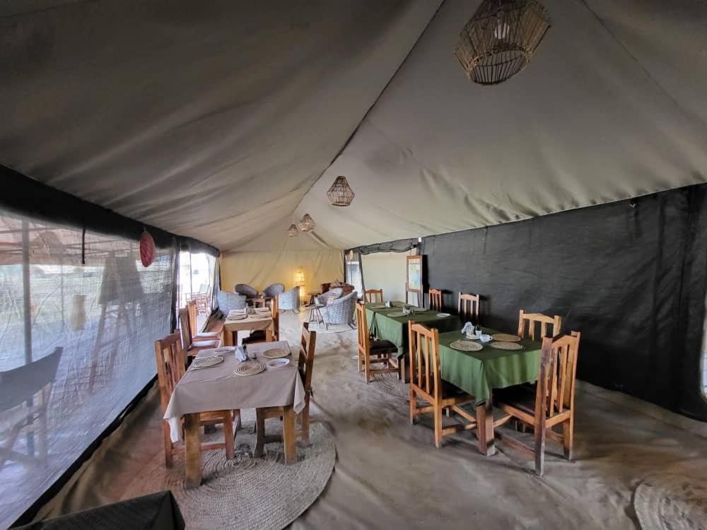 Africa Safari South Serengeti Ndutu Ngorongoro Sinoni Buitenkant foto